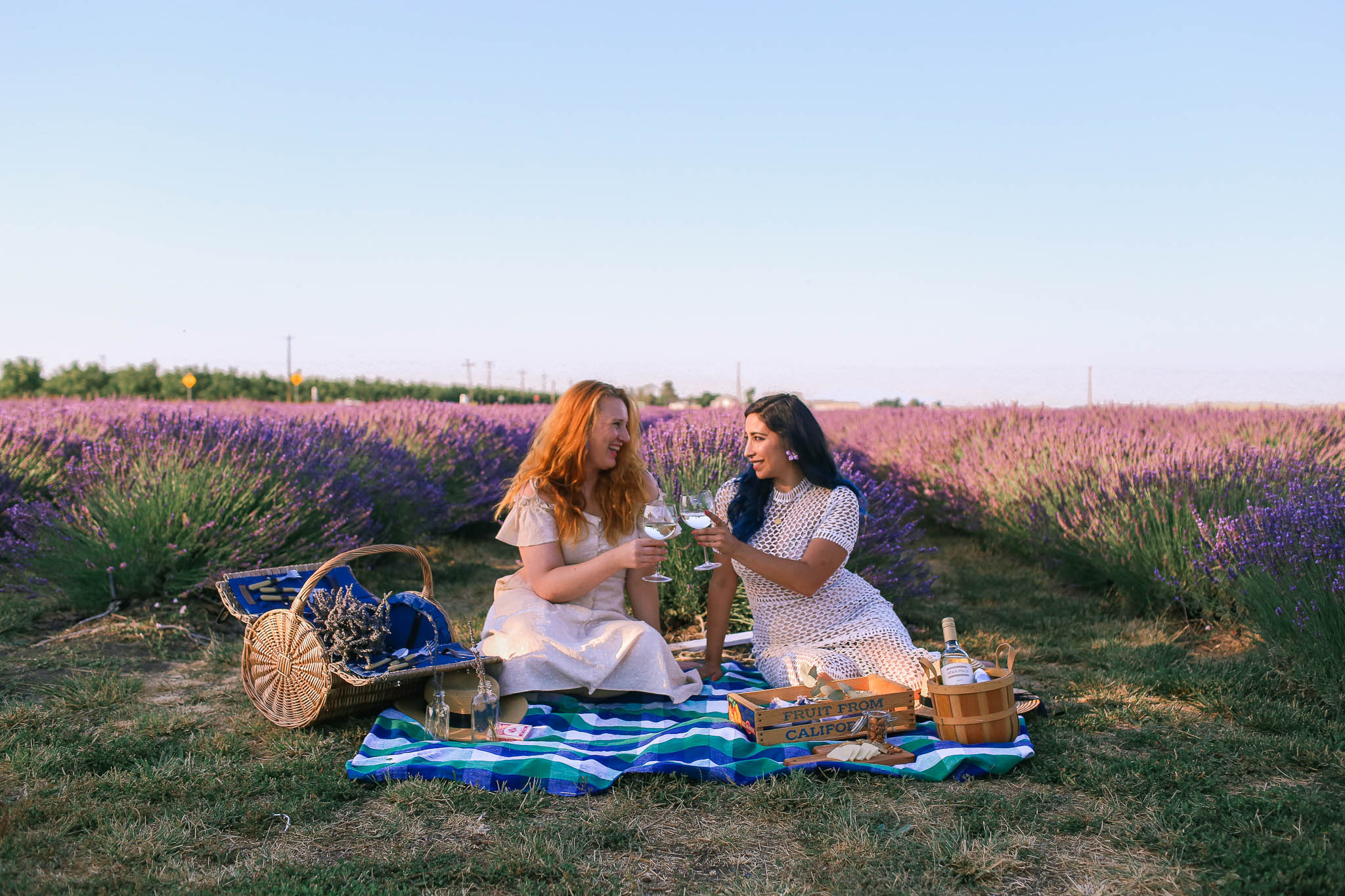 Best Lavender Farm in Northern California! Araceli Lavender Farms